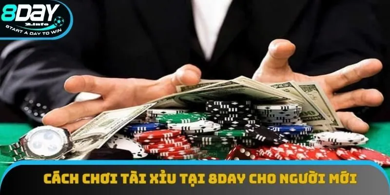 Cách chơi tài xỉu tại 8day cho người mới